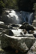 IMG_4601