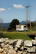 IMG_4606