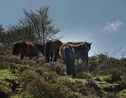 IMG_4613