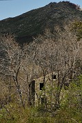 IMG_4618_1