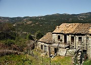 IMG_4624