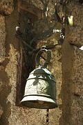 IMG_4631