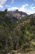 IMG_4655