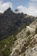 IMG_4658
