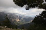 IMG_4665