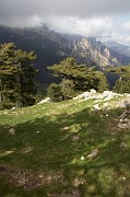 IMG_4667