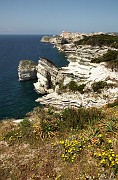 IMG_4690