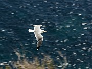 IMG_4714