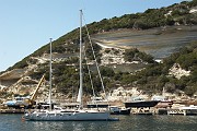 IMG_4746