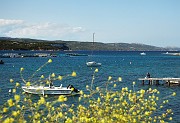 IMG_4749