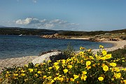 IMG_4750