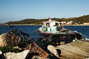 IMG_4768