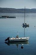IMG_4774