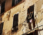 IMG_4781