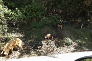 IMG_4792