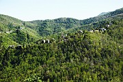 IMG_4798
