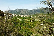 IMG_4802