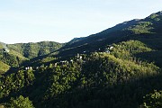 IMG_4803