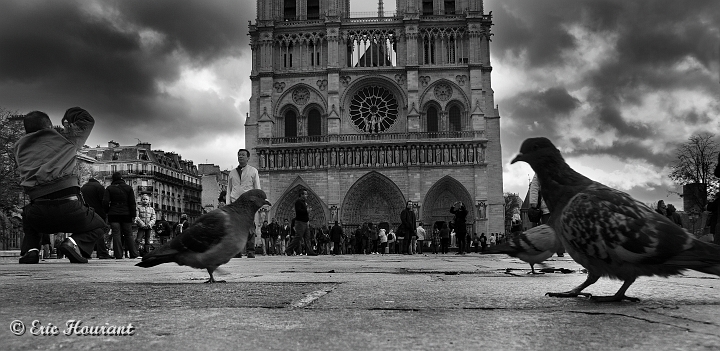IMG_8645.jpg - Salets de touristes, ils font leurs crottes partout...