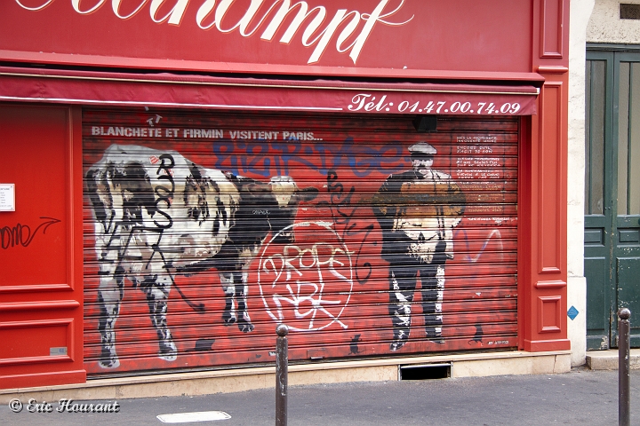 IMG_8700.jpg - Ah la vache ...