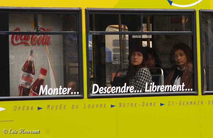 IMG_8765.jpg - La libert dans la joie.