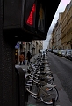 IMG_8666