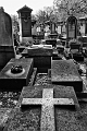 IMG_8703
