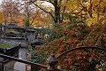 IMG_8718