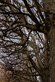 IMG_8721
