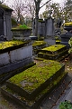 IMG_8727