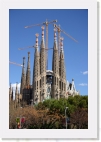 IMG_7142 * 2048 x 3072 * (4.25MB)