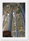 IMG_7152 * 2048 x 3072 * (4.18MB)