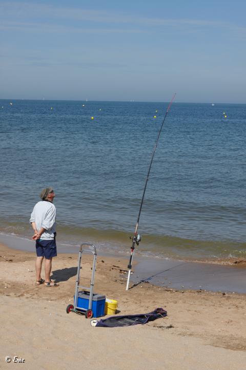 IMG_1320.jpg