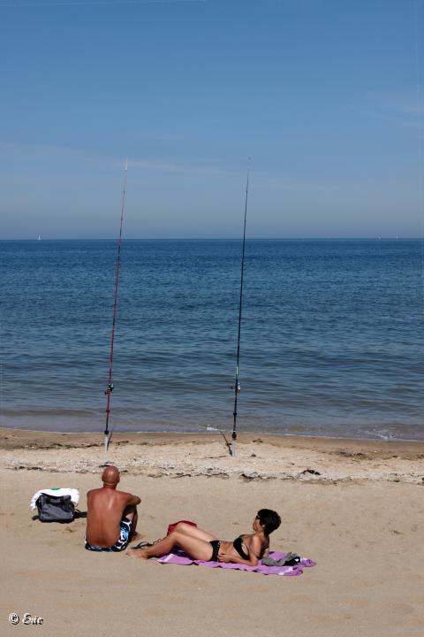 IMG_1321.jpg