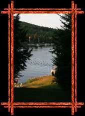 IMG_3031 * 2336 x 3504 * (2.92MB)