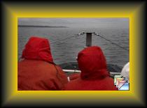 tadoussac_baleines * (23 Diapositives)