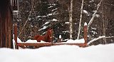 IMG_0807
