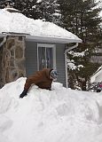 IMG_0836