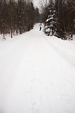 IMG_0946