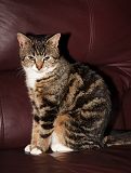 IMG_1292