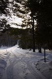 IMG_1300
