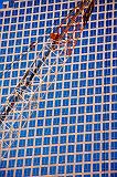 IMG_1781