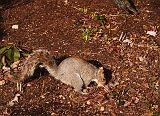 IMG_1799