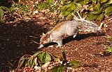 IMG_1800