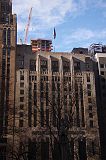 IMG_1810