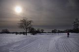 IMG_1193
