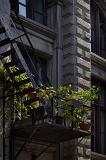 IMG_4535