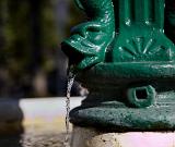 IMG_4724