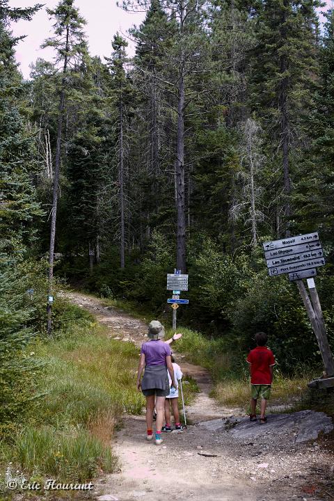 IMG_5369.jpg