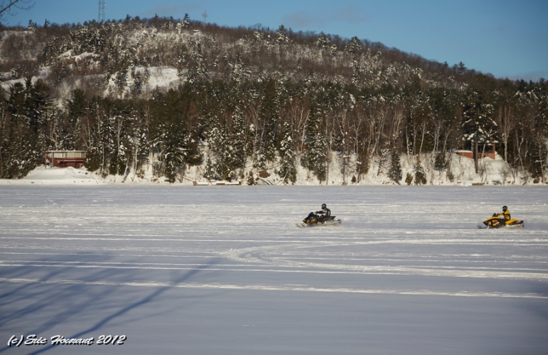 IMG_1704.jpg